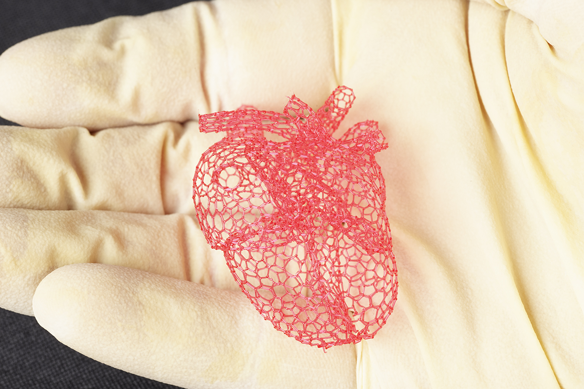 Maggiori informazioni su "Zucchero come supporto alla stampa 3D di organi umani"