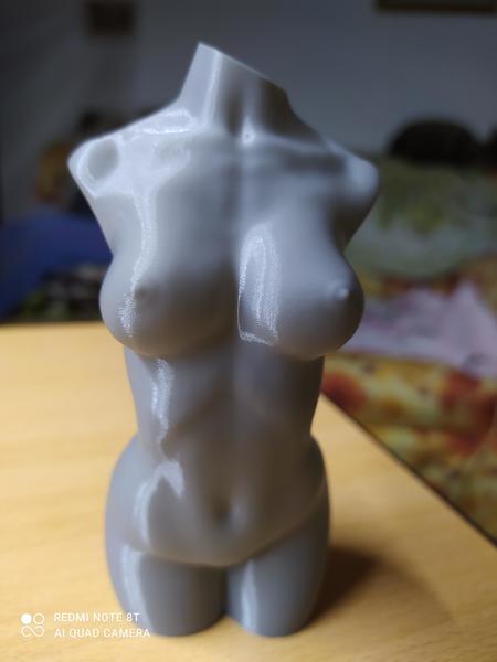 busto di donna in vase mode in PLA grigio Sunlu