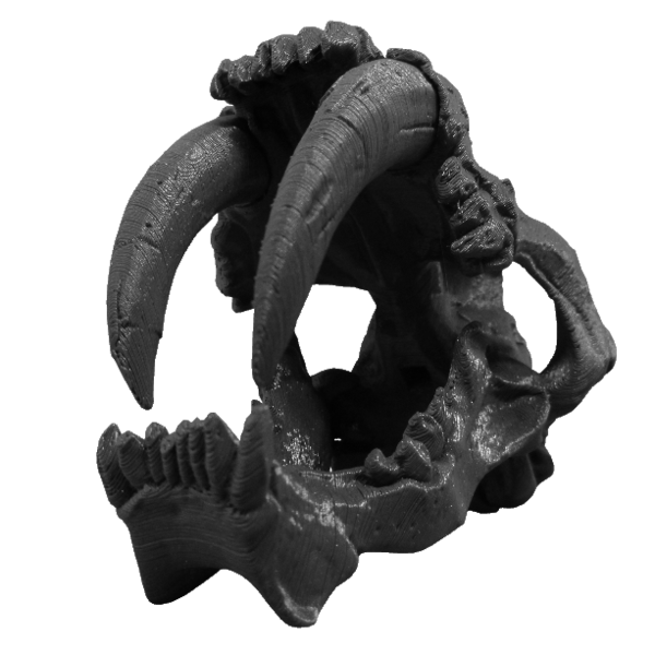 skull_dinosauro_castalia3d_3.png