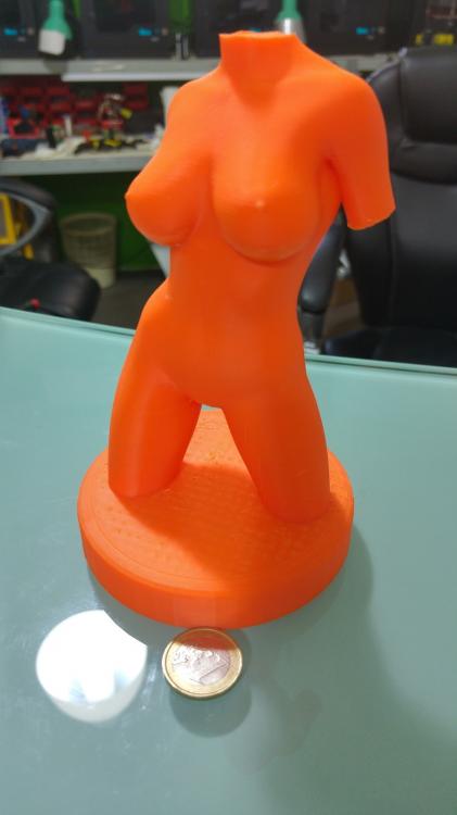 Copia di 20151129_125027_HDR.jpg