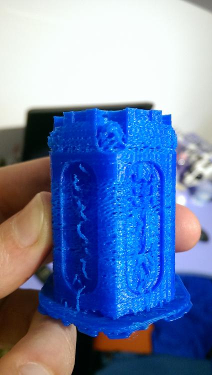 IMAG1037.thumb.jpg.c20b538b9a42919a2e3ba