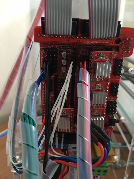 IMG_0621.thumb.JPG.d8dad0ba2358dfeef9511