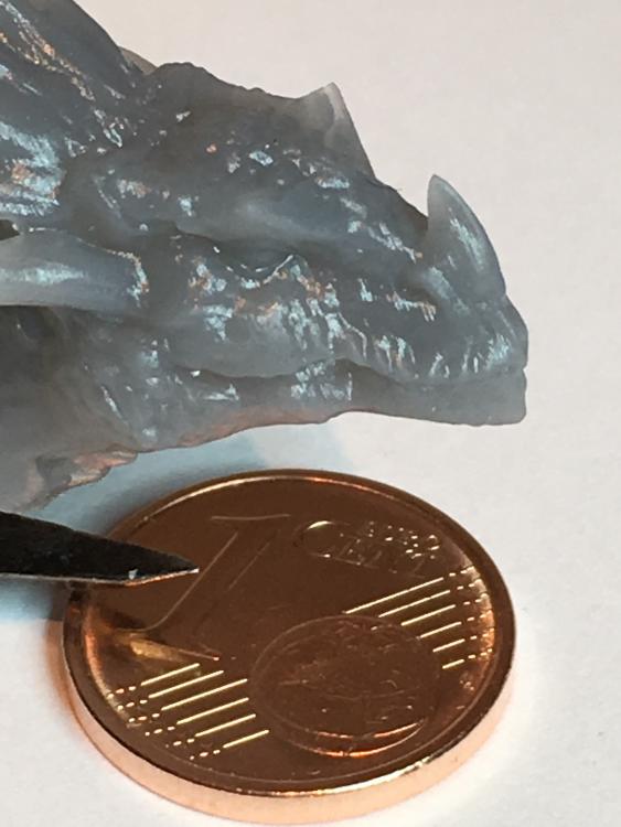 testa drago small_CM 013.JPG