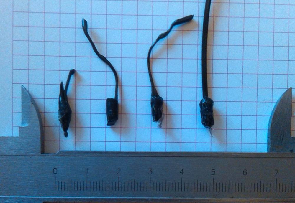 blocco pla tevo tarantula.jpg