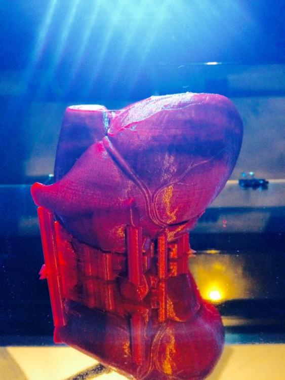 Modello cuore umano stampato in PLA.jpg