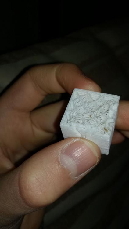 WhatsApp Image 2017-12-26 at 17.41.45.jpeg