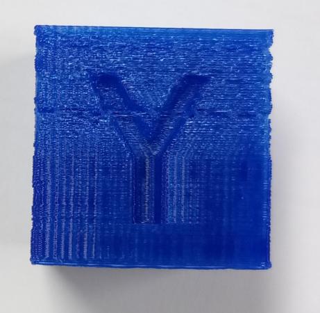 2019-01-29 18.58.07.jpg