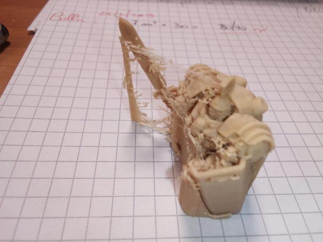 WhatsApp Image 2019-02-26 at 12.38.51.jpeg