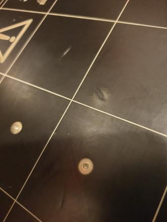 2020-05-12 15.39.49.jpg