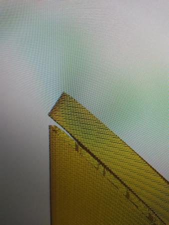 WhatsApp Image 2020-05-28 at 20.09.48.jpeg