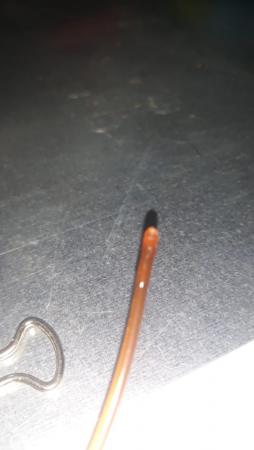 WhatsApp Image 2020-08-23 at 09.46.58.jpeg