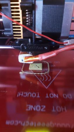 20201030_155726 (Grande).jpg