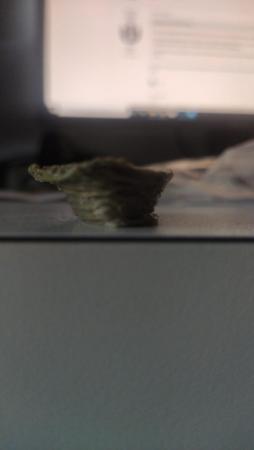 WhatsApp Image 2020-11-08 at 16.28.13 (1).jpeg