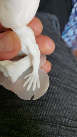 WhatsApp Image 2021-03-10 at 12.34.43.jpeg