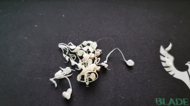 WhatsApp Image 2021-05-14 at 9.09.41 AM.jpeg