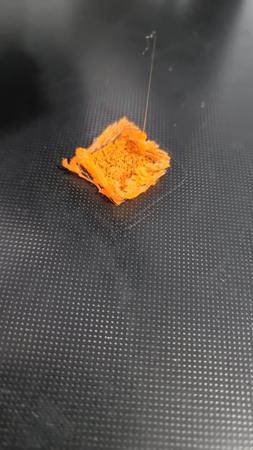 WhatsApp Image 2021-05-04 at 1.30.32 PM.jpeg