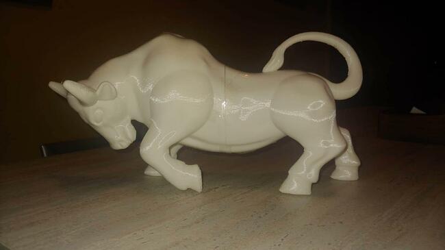 IMG-20220128-WA0001 copia.jpg