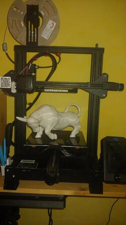 IMG-20220128-WA0006 copia.jpg