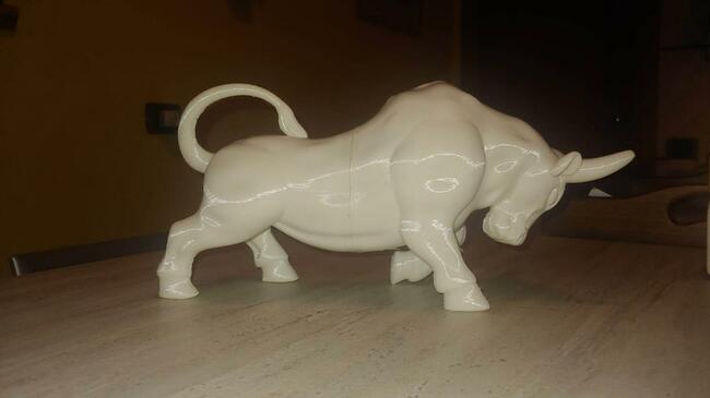 IMG-20220128-WA0002 copia.jpg