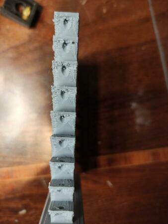 IMG_20230330_065128.thumb.jpg.e7914d876bf5c55c41db5d08f3f8dcbd.jpg