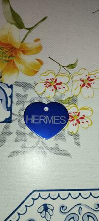 medaglia hermes fronte.jpeg