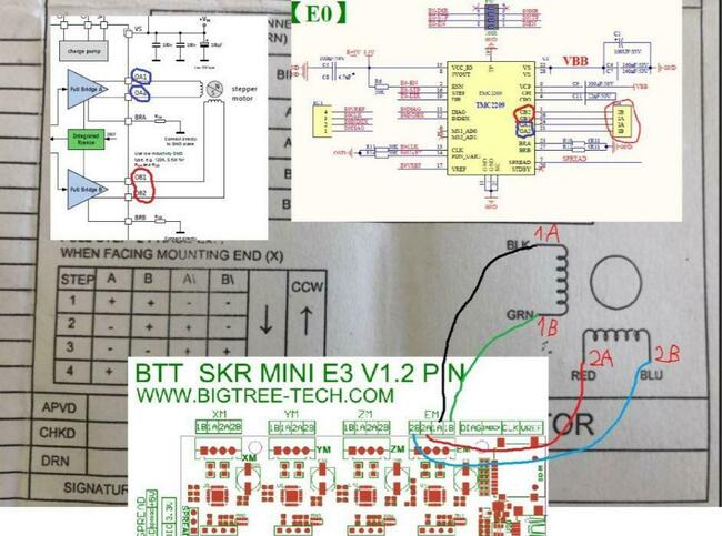 SKRminiE3v1.2motorwiring.thumb.jpg.1e81d2cd2ccdfdf074adc5445be66224.jpg