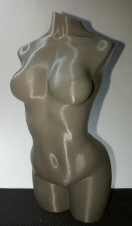 torsosmall.thumb.jpg.96d3cbe2cacf64b7184917977995fbdf.jpg