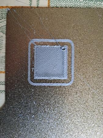 WhatsApp Image 2023-12-08 at 12.20.09.jpeg