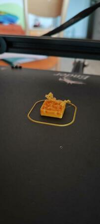 Immagine WhatsApp 2024-07-28 ore 18.29.39_37ef7703.jpg