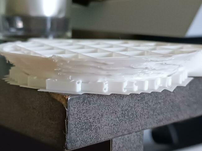 WhatsApp Image 2024-08-12 at 12.27.59.jpeg