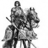 cavalieresenzafilo