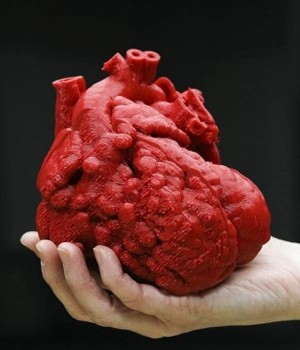 cuore stampato in 3d
