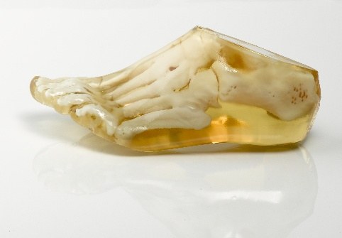 MedicalApplication_482