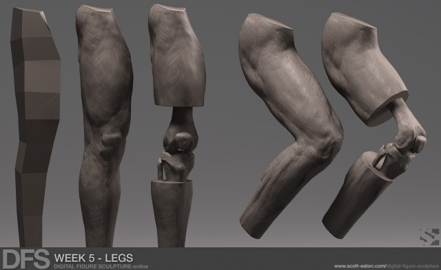 week5_legs_zbrush
